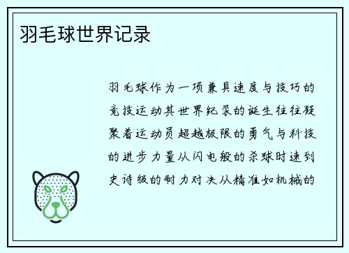 羽毛球世界记录