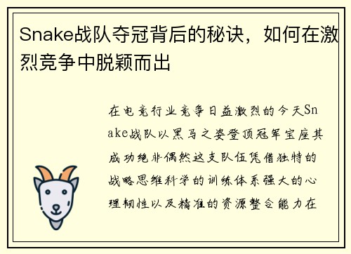 Snake战队夺冠背后的秘诀，如何在激烈竞争中脱颖而出